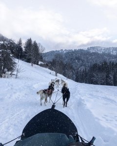 Huski excursions in Megève