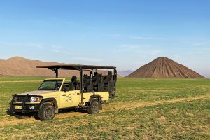 The Namib Desert turning green The Namib Desert turning green