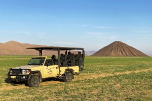 The Namib Desert turning green