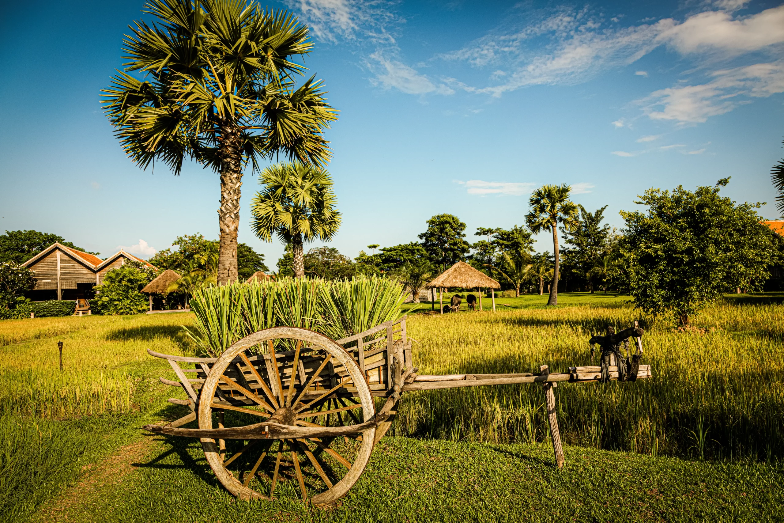 Zannier Hotels Phum Baitang - Jardin et terrain 19 - © Patricia Parinejad pour Zannier Hotels