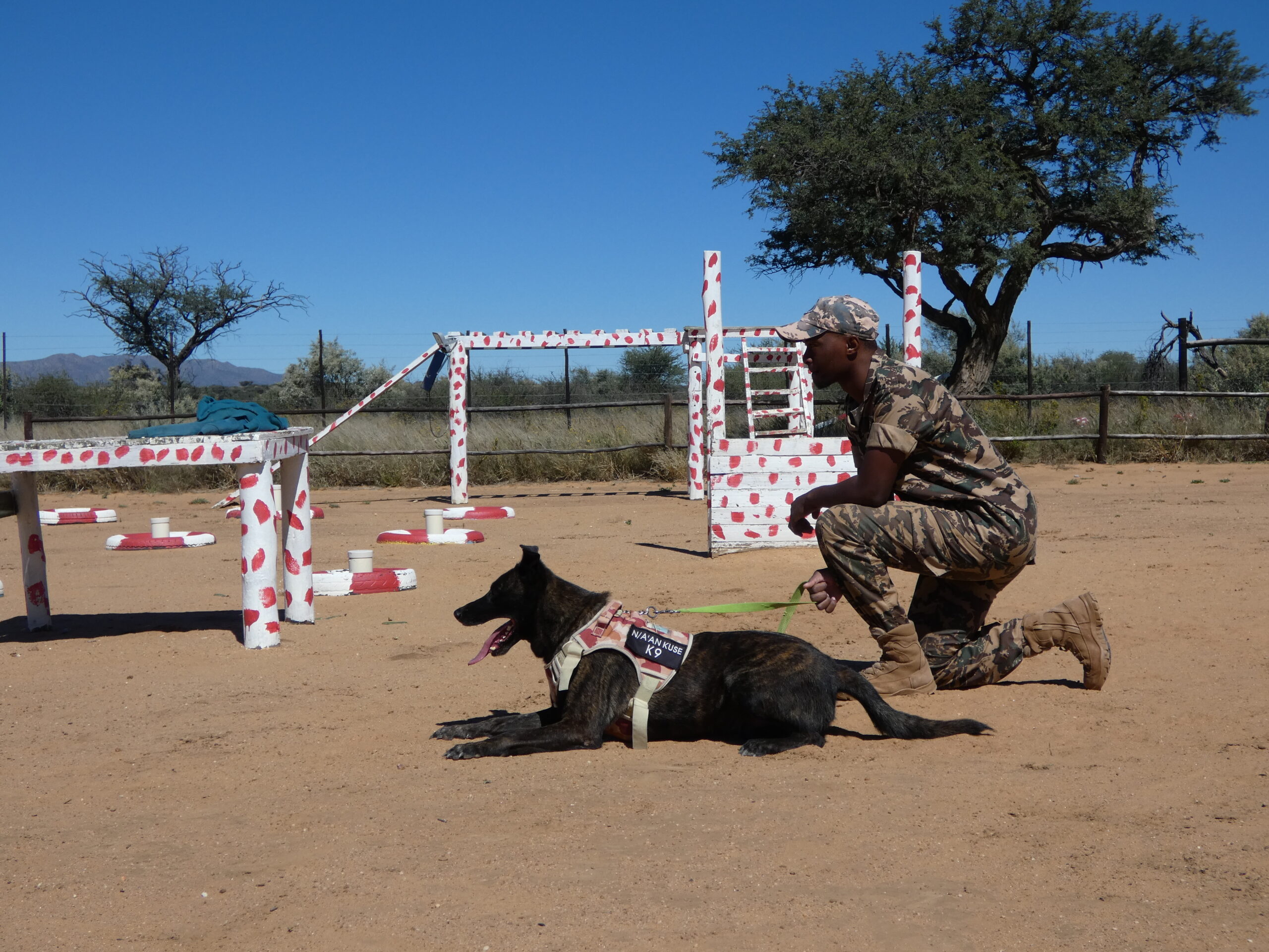 K9 Training at Naankuse (15), Namibia - APU Unit