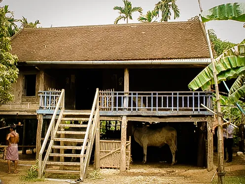 Zannier Phum Baitang, Siem Reap, Cambodia - traditional cambodian house with cattle