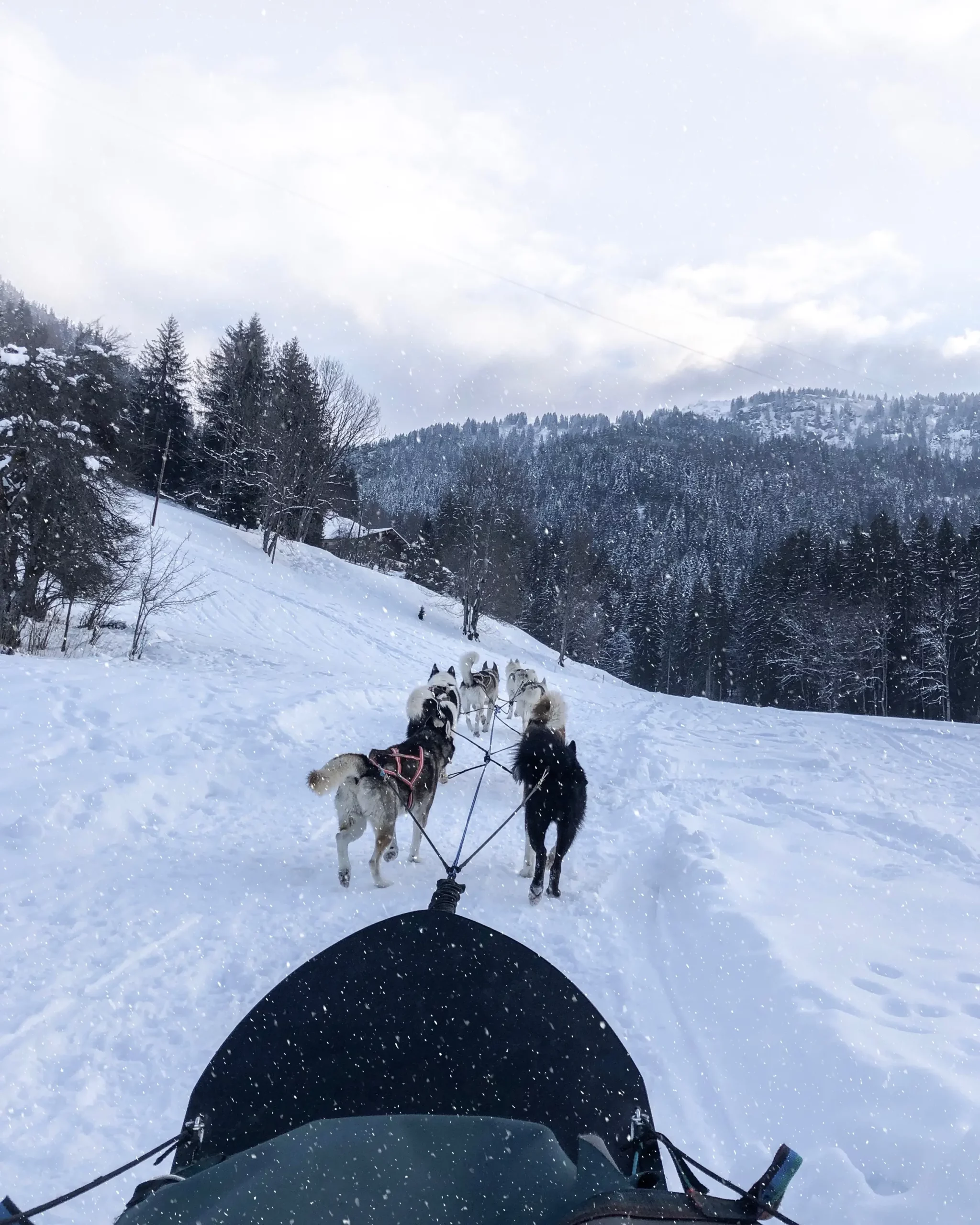 Zannier Le Chalet, Megève, France - Dog sledding through the French Alps